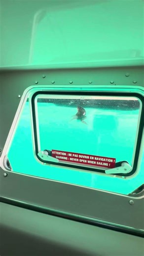 Boat Captain Discovers She Has an Audience During Bathroom Break