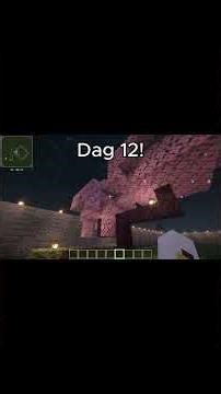 Parkjes bouwen! | Een Stad Bouwen #12