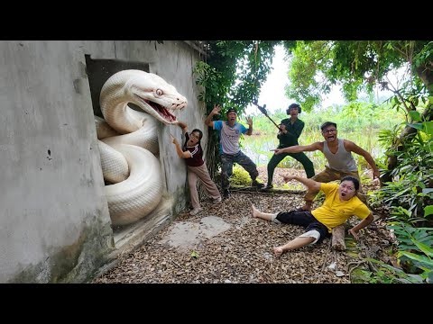 Brave soldiers used high-tech snake detectors to locate a giant python's nest
