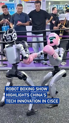 Robot boxing show highlights China's tech innovation at CISCE