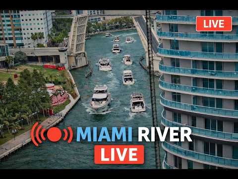 Miami River Live Cam | Miami Live