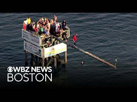 Highlights from 2026 Gloucester greasy pole contest