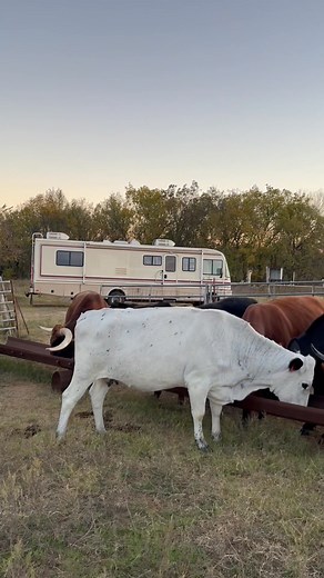 Just ranchin!!! | Adam Williams