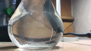 File:Sodium chloride white crystal rain.webm - Wikimedia Commons