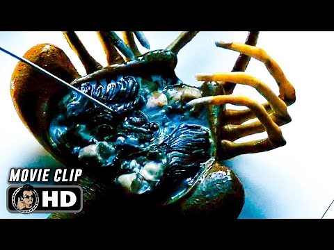 Dead Facehugger Scene | ALIEN (1979) Movie CLIP HD