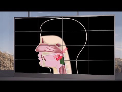 Swallowing for beginners - how does the act of swallowing work?