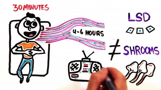 What is Iowaska? | 11 Ways Iowaska Will Change Your Life