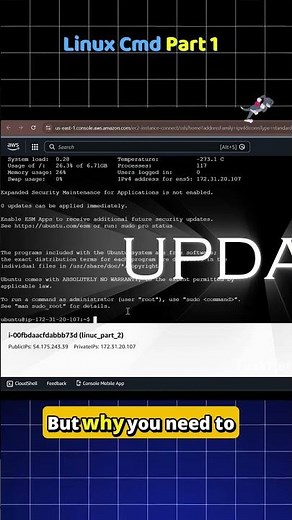 Master Linux Basics (Beginner Guide) #aws #devops #bucketflow