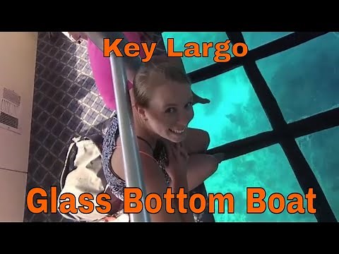 Glass Bottom Boat - Surprisingly Fun! Key Largo, FL Keys
