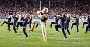 BYU’s dancing gay cougar tops ESPN’s ‘best mascot moments of all time’ - Outsports