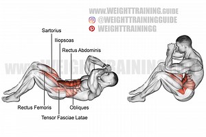 Sit-up exercise instructions and video | WeightTraining.guide