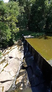 Here's a view of the Yates Mill dam, overshot waterwheel, and some of the creek wildlife (including a northern water snake that was hunting and lots of fish) that you won't often get to see, as this video was taken from the third floor of the mill - way up in the tippy top. Mill tours are currently not available, but when they resume, we occasionally offer a tip top to bottom mill technology tour that would allow you to get into the upper floors of the mill to see all of the equipment that is co