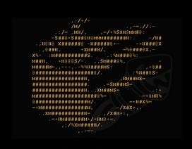 Delicious Chocolate Cake