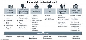 The Social Determinants of Health