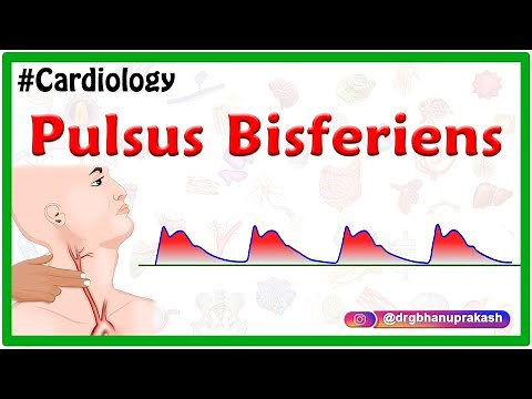 Pulsus bisferiens || #USMLE || #Cardiology