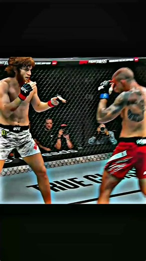 UFC best fight hilight clips #UFC #knockout #ufcfightnight #mmacommunity #MMA