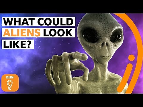 What would alien life actually look like? | BBC Ideas