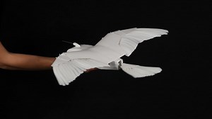 Robot bird that flies without tailfin 'could revolutionise aviation'
