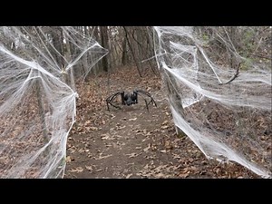 GIANT SPIDER ATTACK - CAUGHT ON TAPE