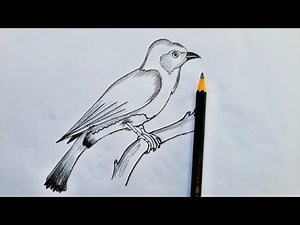 "How to Draw a Bird Easily | Step by Step Bird Drawing Tutorial for Beginners"