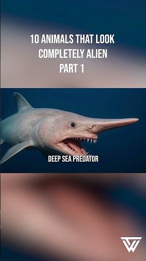 10 ANIMALS FROM OTHER PLANETS PART 1 #animals #facts