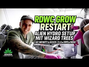 RDWC Restart 🌱 Alien Hydro System mit Wizard Trees, AC Infinity |Greenception GCX25 | Tipps & Tricks