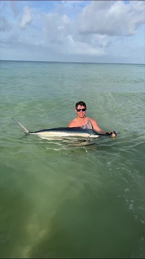 Man Catching Marlin Next to Beach | Fraser Island Fishing