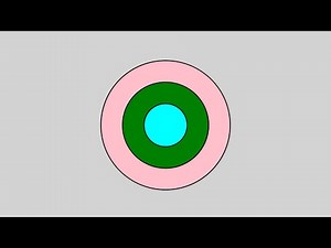 1.1 - First Shapes