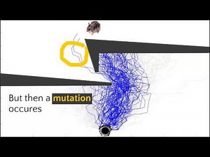Genetic Algorithm Example
