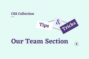 10  CSS our team section (latest collection) - Essential Web Apps