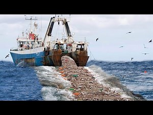 Big catch in the Sea - Fish Processing Process After Catching Right On The Boat