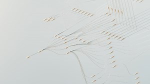 Webull AI Platform: Boosting Trading Efficiency and Accuracy