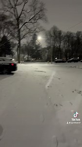 we even got the puppy 😂 #Ohio #snowstorm Isabella Elizabeth Jacob | April Kantor