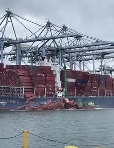 😱Nearly 70 containers falling off a container ship at Port of Long Beach Video credits : Sam Lucas / x.com #containership #california #container #sailor #seafarer | Marine Insight