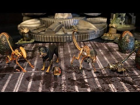 Neca Alien 3 Accessory Set Creature Pack Action Figure Review & Comparison