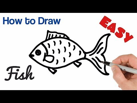 How to Draw a Fish easy step by step