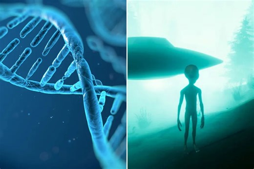 ‘Alien’ DNA found inside humans — it was inserted into our genes, bonkers new study claims
