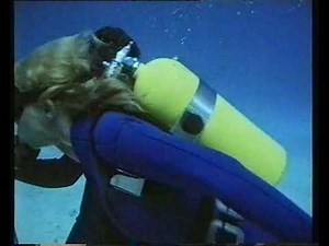 Beautiful Frogwoman and Shark. Hunters of the Reef Movie.