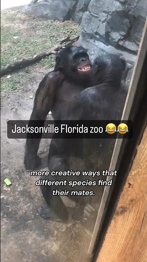 Unbelievable Animal Mating Habits That Will Leave You Speechless