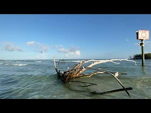 Paddling to Shell Key