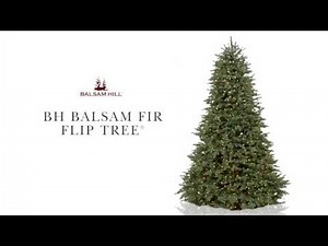 Balsam Fir Artificial Christmas Tree | Easy Plug Technology | Balsam Hill®