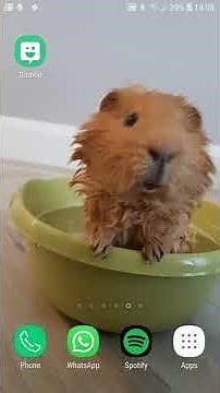 Tutorial - How to Disconnect your Bitmoji Keyboard from your Phone