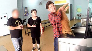 Cat owner puts pet in washing machine - What would you do? | maxman.tv