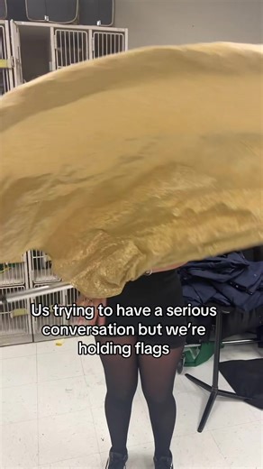 Behind the Scenes of Colorguard Practice