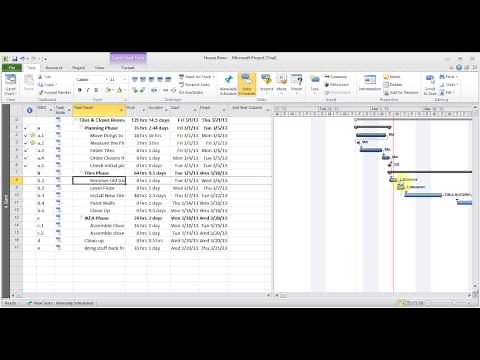 Microsoft Project 2010/2013 pt 4 (Advanced Formatting & Views)