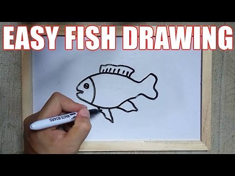 How to Draw a Fish Step by Step – Easy Fish Drawing Tutorial for Beginners