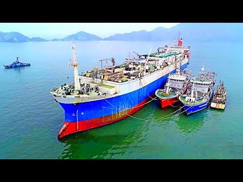 A Look Inside The World's LARGEST Floating Fish Processing Vessel