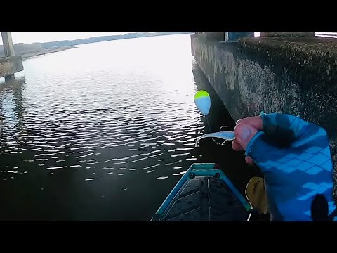 These JIGS Catch CRAPPIE ANYWHERE🎣 Kayak CRAPPIE Fishing 2024!!