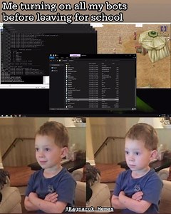 OpenKore Bots #RagnarokOnline | Ragnarok Memes