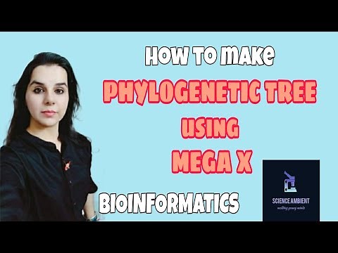#megasoftware #phylogenetictree How to create phylogenetic tree using MEGA X